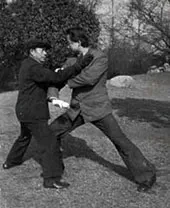 Ling Jin Fu y Haoqing Liu