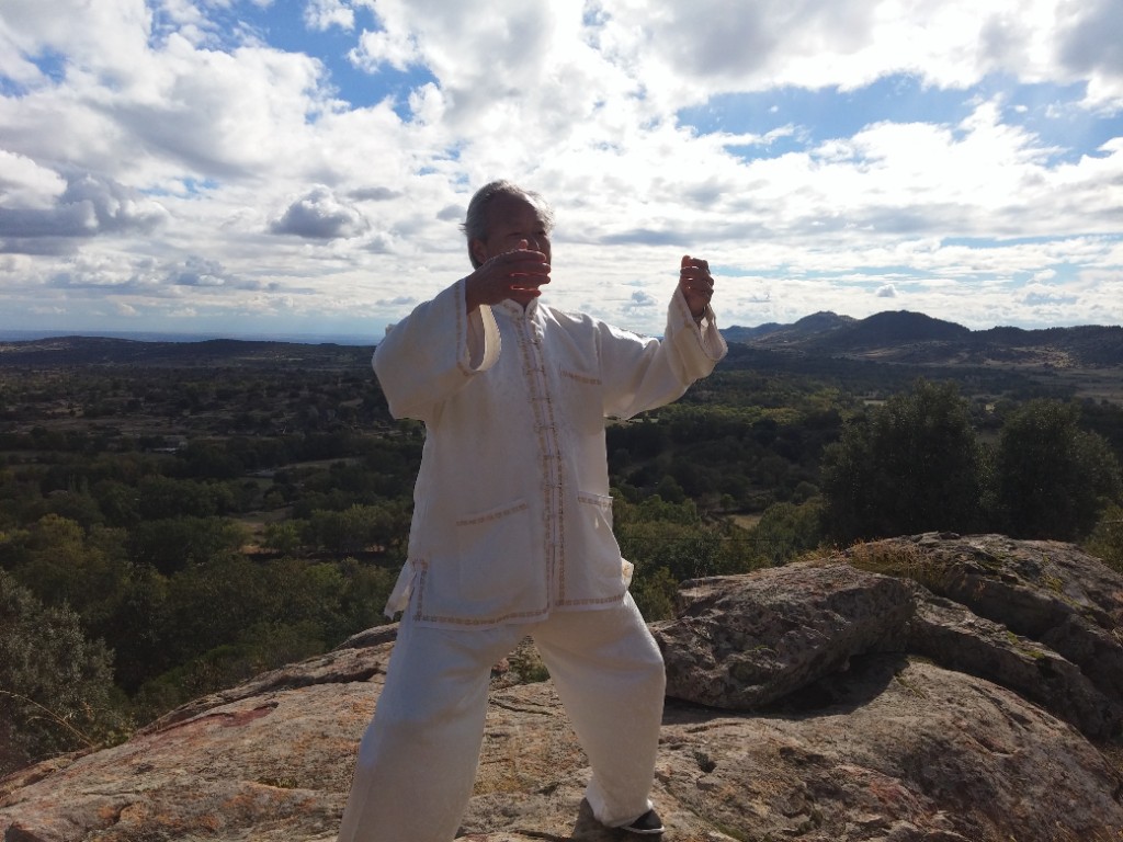 Práctica de Tai Chi y meditación al aire libre en entorno natural