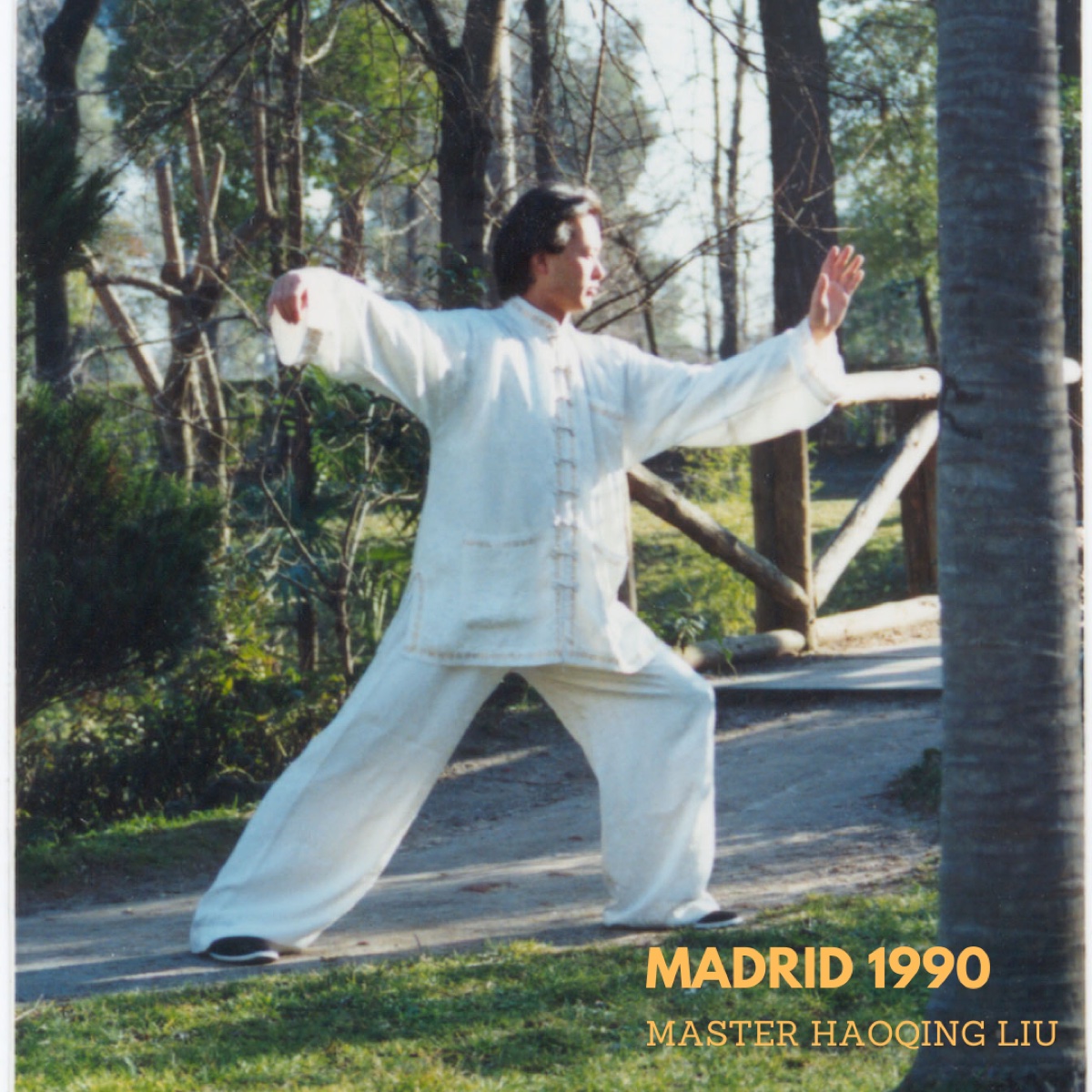 Whip demonstration
