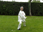 Técnica Cai de la forma de Tai Chi Chi Kung