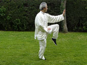 Postura Gallo oro descansa pierna derecha en la forma de Tai Chi Chi Kung